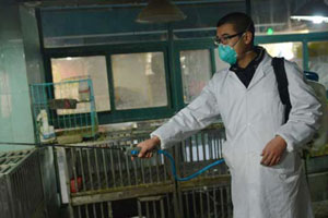 New H7N9 infection case in E.China