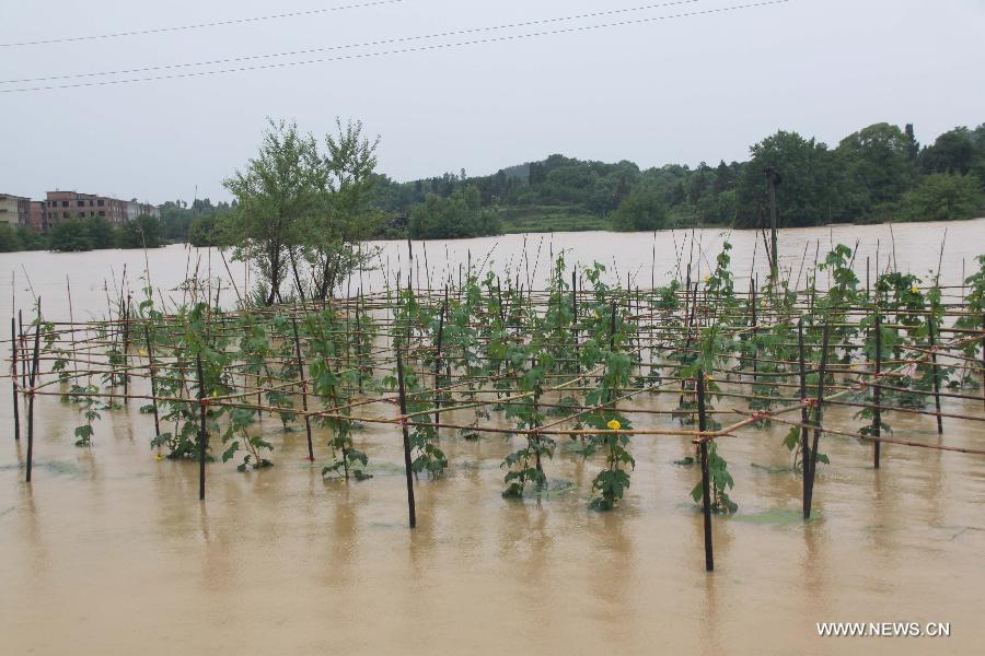 Flood hits E China's Jiangxi