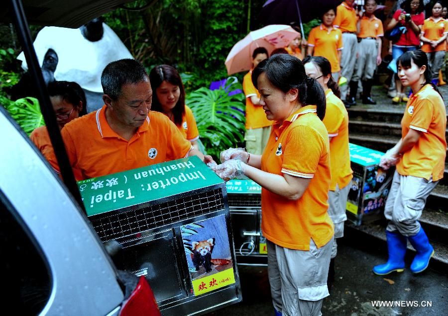 Red pandas from Fuzhou to become new residents in Taipei