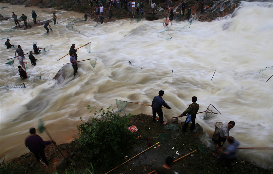 Fish going free as E China floodgates open