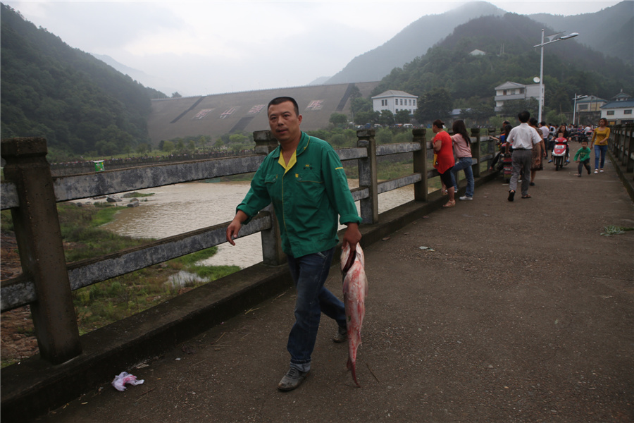 Fish going free as E China floodgates open