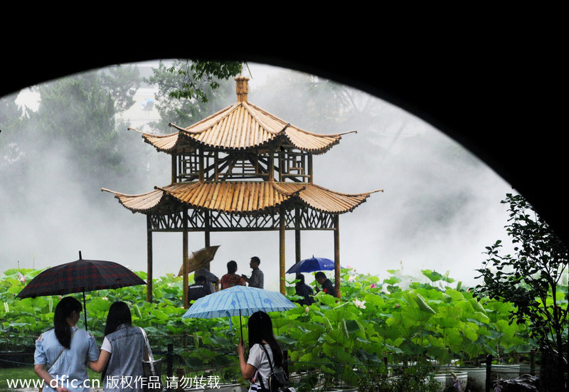 Shanghai water lilies burst into bloom