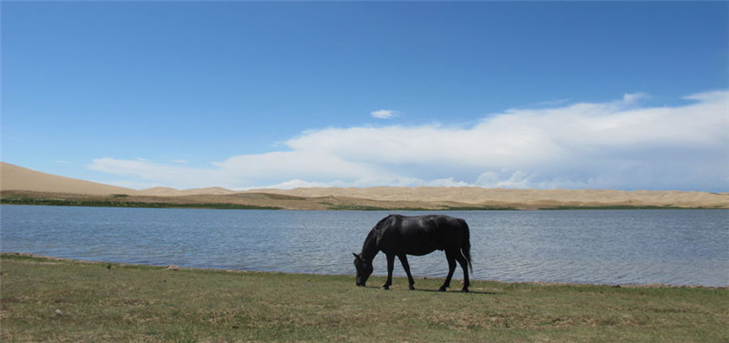 Qinghai's 'biological gene bank'