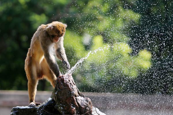 Heatwave sweeps across China