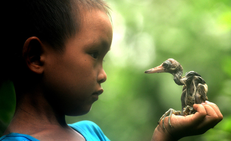 Villagers aid feathered friends