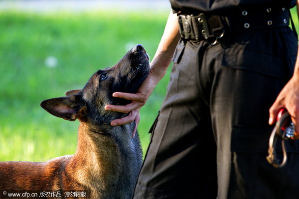 Remembering police dog <EM>Benben</EM>