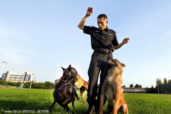 Remembering police dog <EM>Benben</EM>