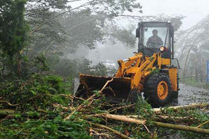 Over 100,000 affected by Typhoon Matmo in E China's Jiangxi