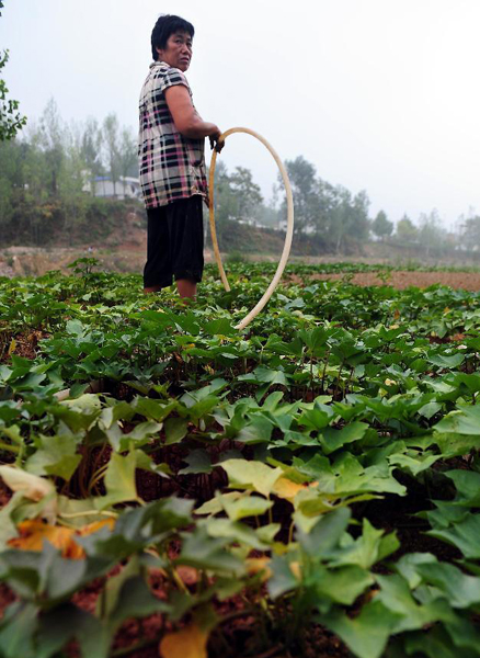 Henan suffers from drought since mid-May