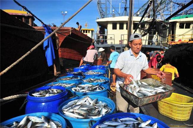 China issues orange alert for Typhoon Kalmaegi