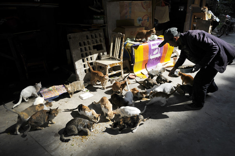 A migrant worker and his little friends