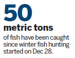 1,000 years on, the art of fish hunting is in safe hands