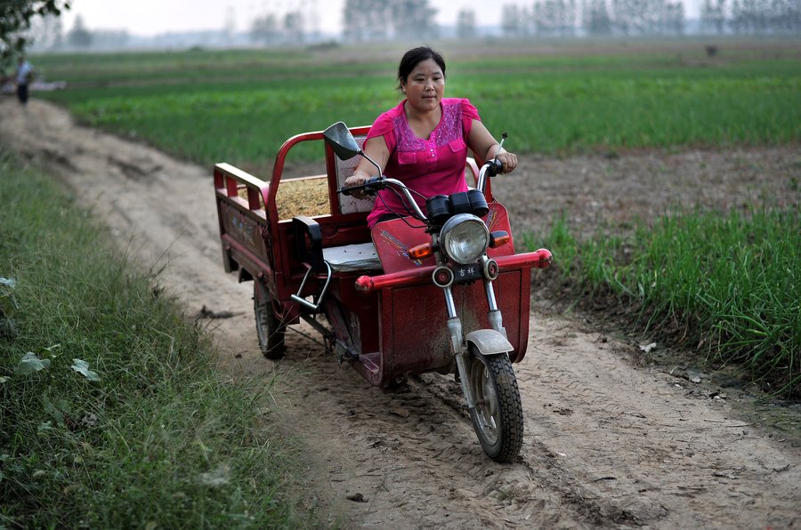 Left-behind wives expectantly await Spring Festival