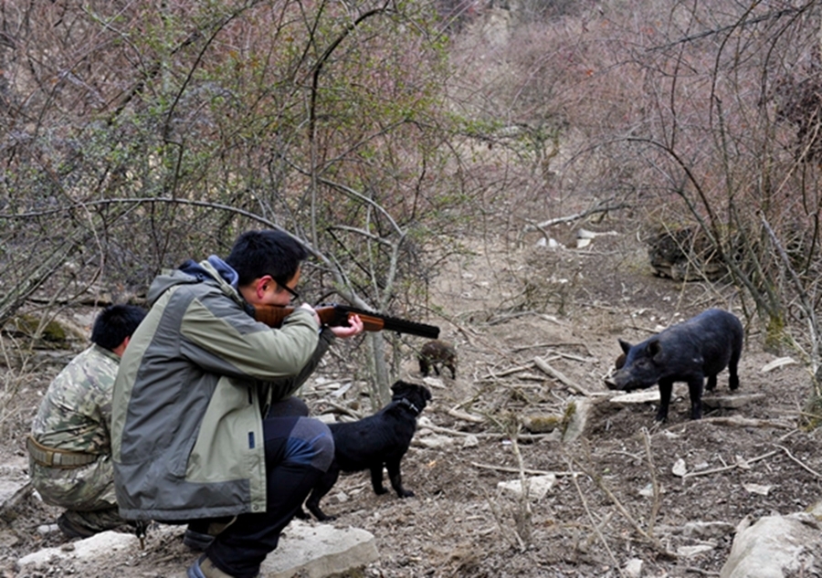 Hunting a fun sports in China