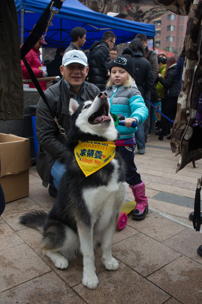 Man's best friends find new homes