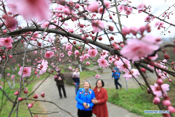 Beautiful sceneries of early spring flowers around China