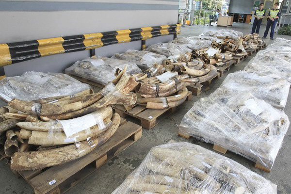 China pledges zero-tolerance stance on illegal ivory