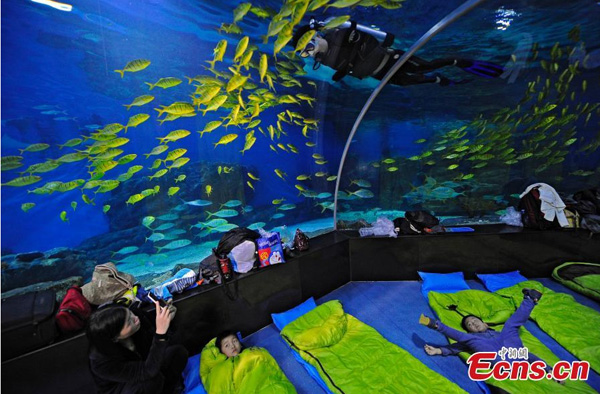 Sleep with fish at Tianjin aquarium