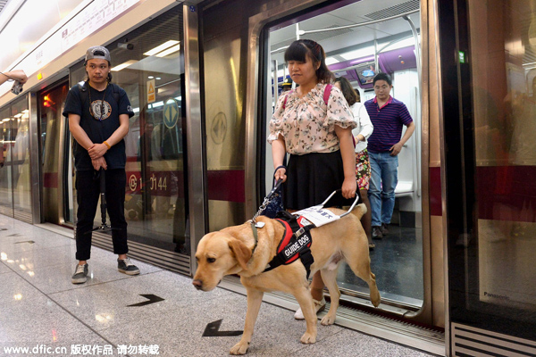 Beijing allows guide dogs on subway