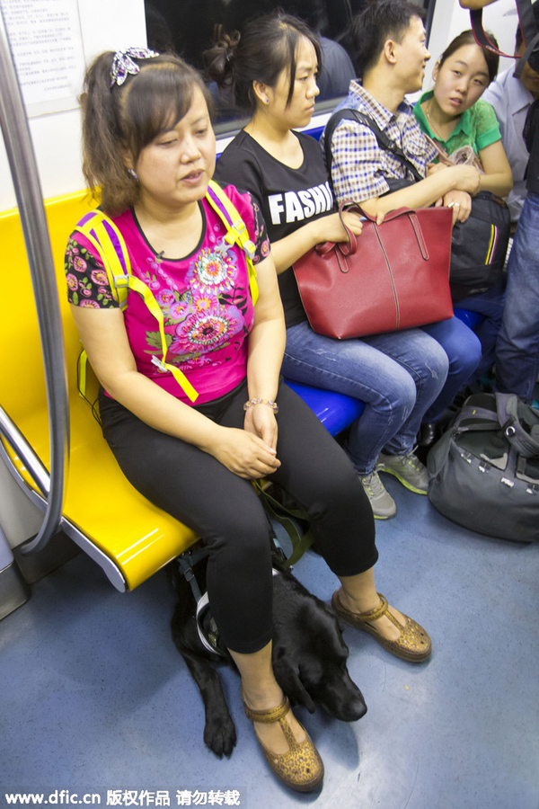 Beijing allows guide dogs on subway