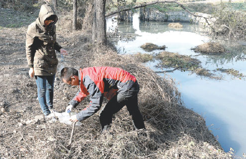 People-power plan to make China's lakes superior