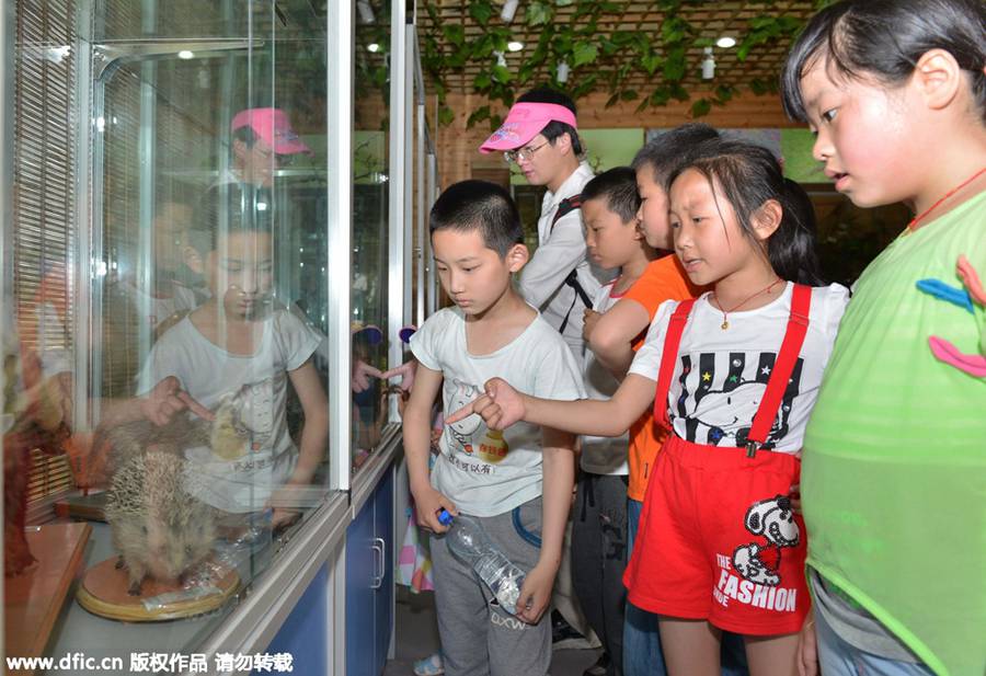 Left-behind children celebrate Children's Day