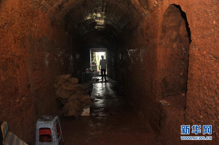 Elder digs cave house on hill in C China