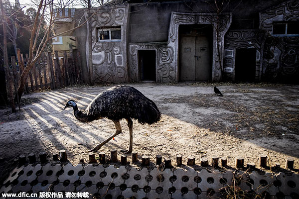 Beijing Zoo to better protect animal rights with new projects