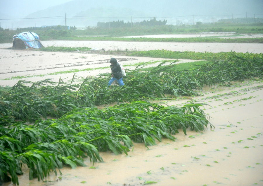 Typhoon Chan-Hom lands on E China, disrupts normal life