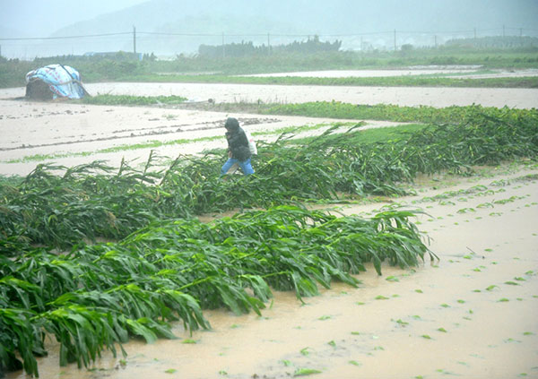 Typhoon Chan-Hom moves northeast, forces weaken