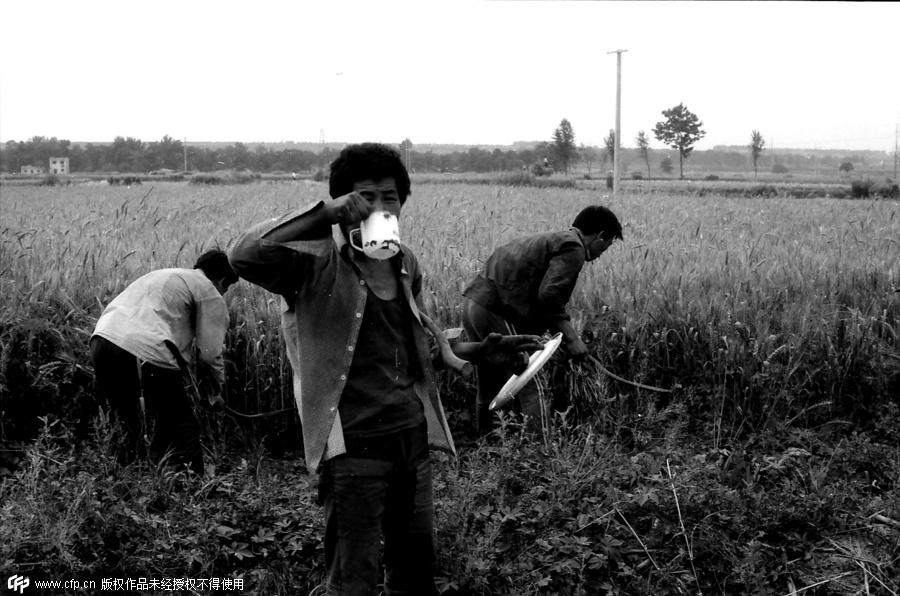 Wheat reapers' now and then