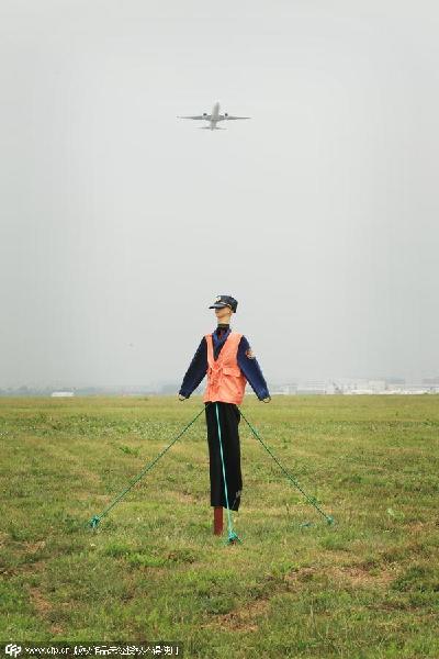 Tricks airports use to scare away birds