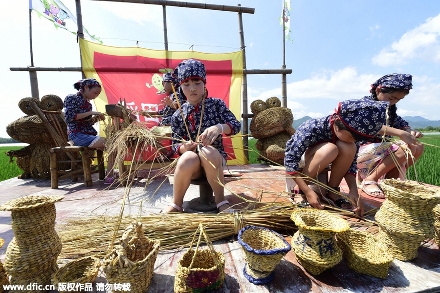 Four-color rice turns paddy field into artwork