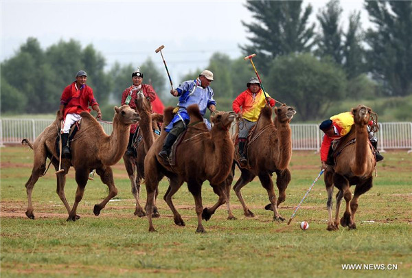 Athletes perform camel ball at ethnic minorities games