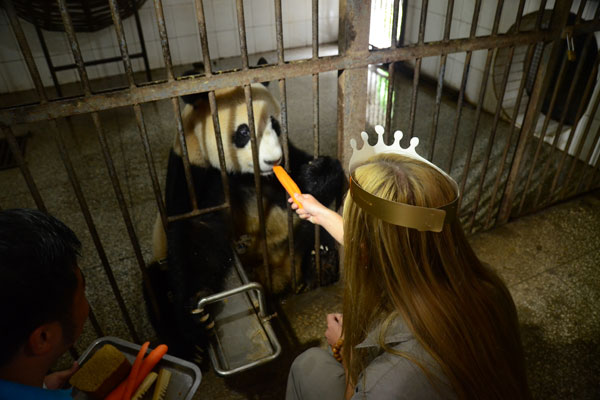 'Amazing' experience for panda lovers in Sichuan