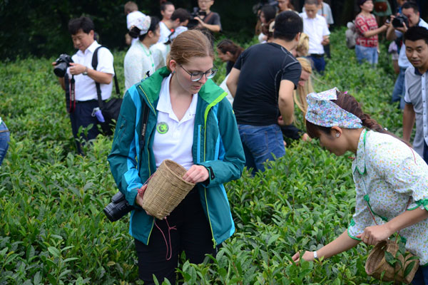 'Amazing' experience for panda lovers in Sichuan