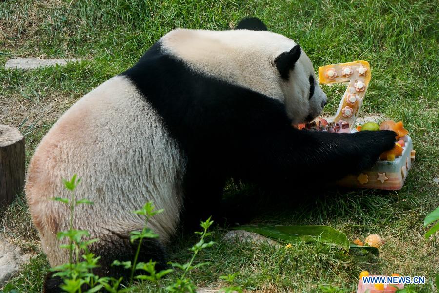 Children celebrate birthday of panda Kaikai in Macao