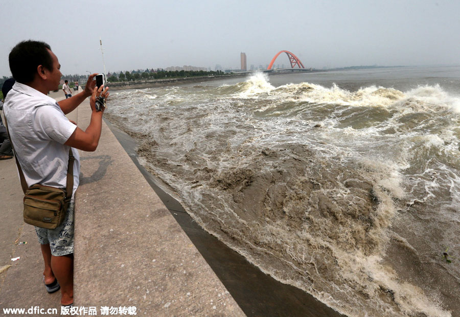 Soaring tides in Qiantang River