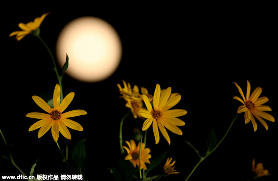 Supermoon marks Mid-Autumn Festival across China