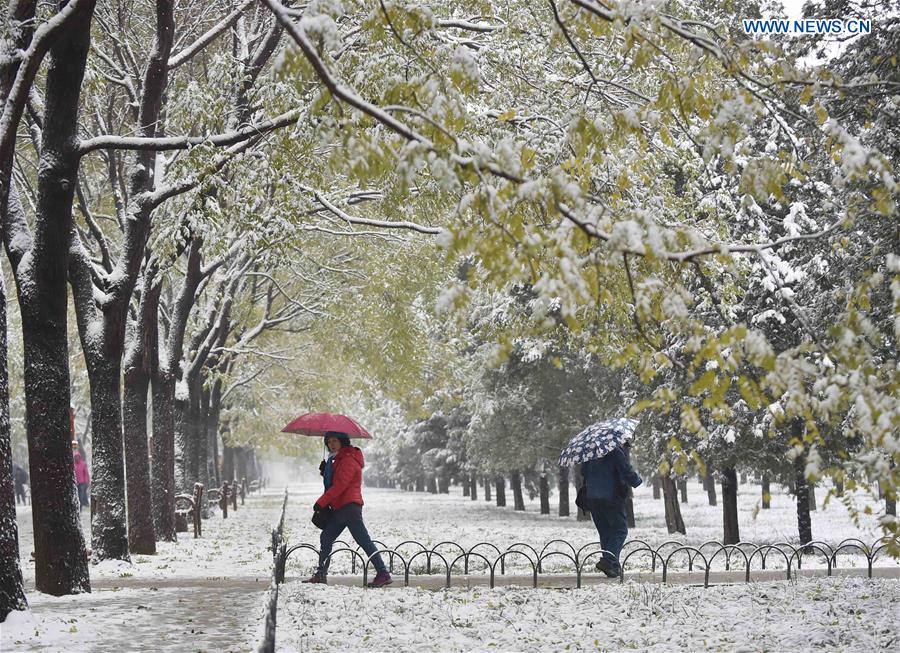 Heavy snowfall hits vast area of N China