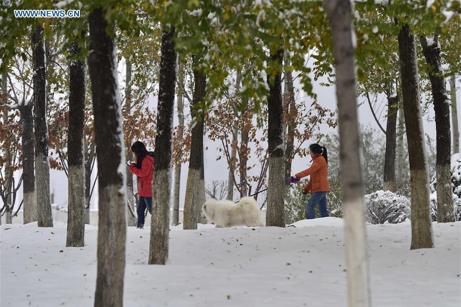 Snowstorms sweep across northern China