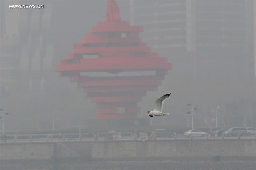 Heavy smog affects Chinese cities