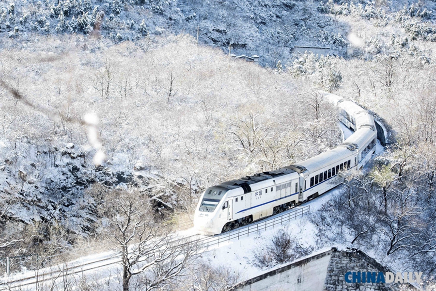 China Daily Pictures of the year 2015: Triumphs, tragedies & life's little moments