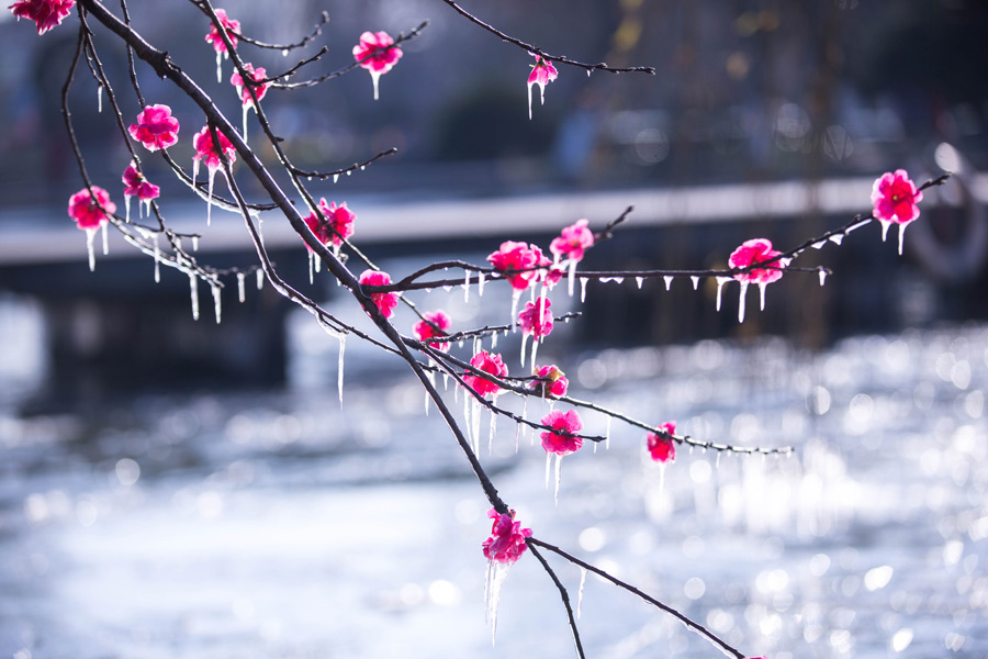 Ten photos of the week from around China