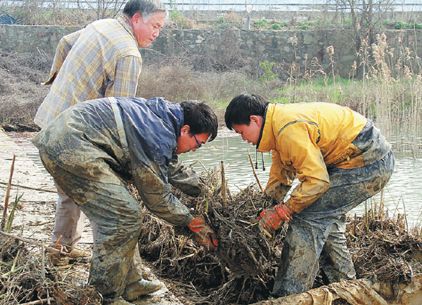 Plants and passion restore troubled waters