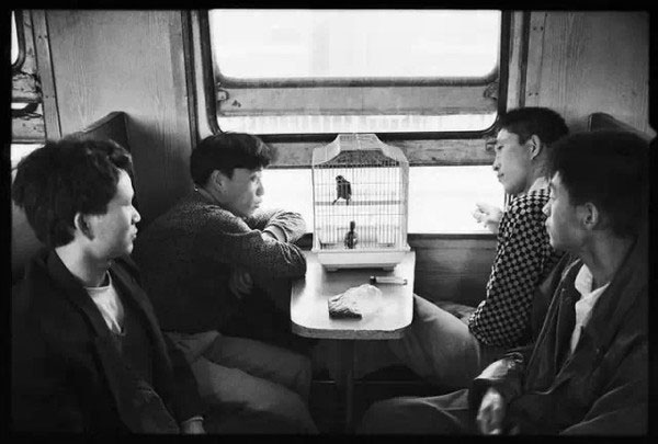 Speed of change: China through train journeys