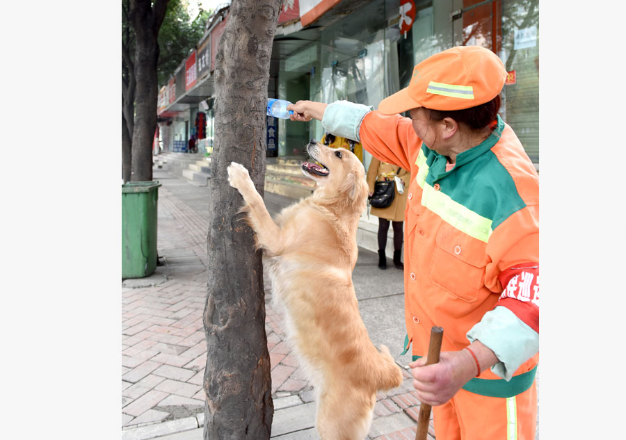 Chengdu's sanitation worker and her dog