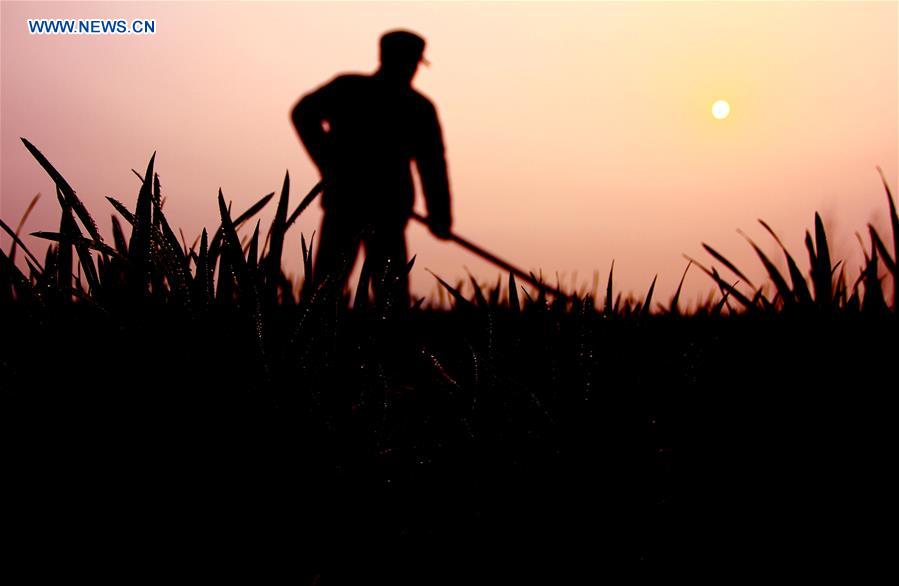 'Chunfen', or Spring Equinox, marked around China