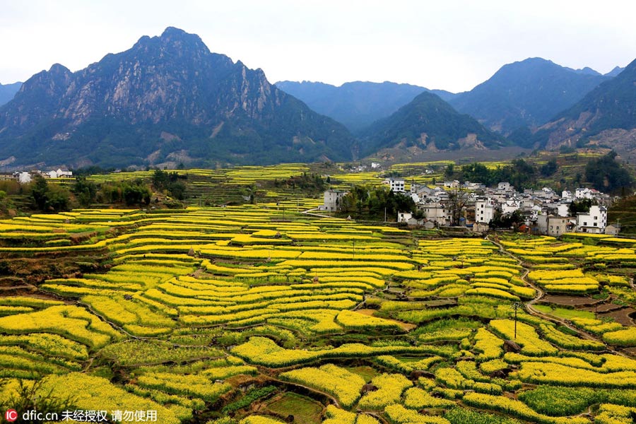 Discover beautiful China in spring blossom (I)