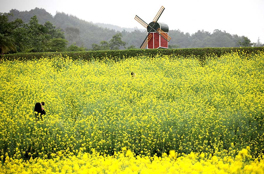 Discover beautiful China in spring blossom (II)